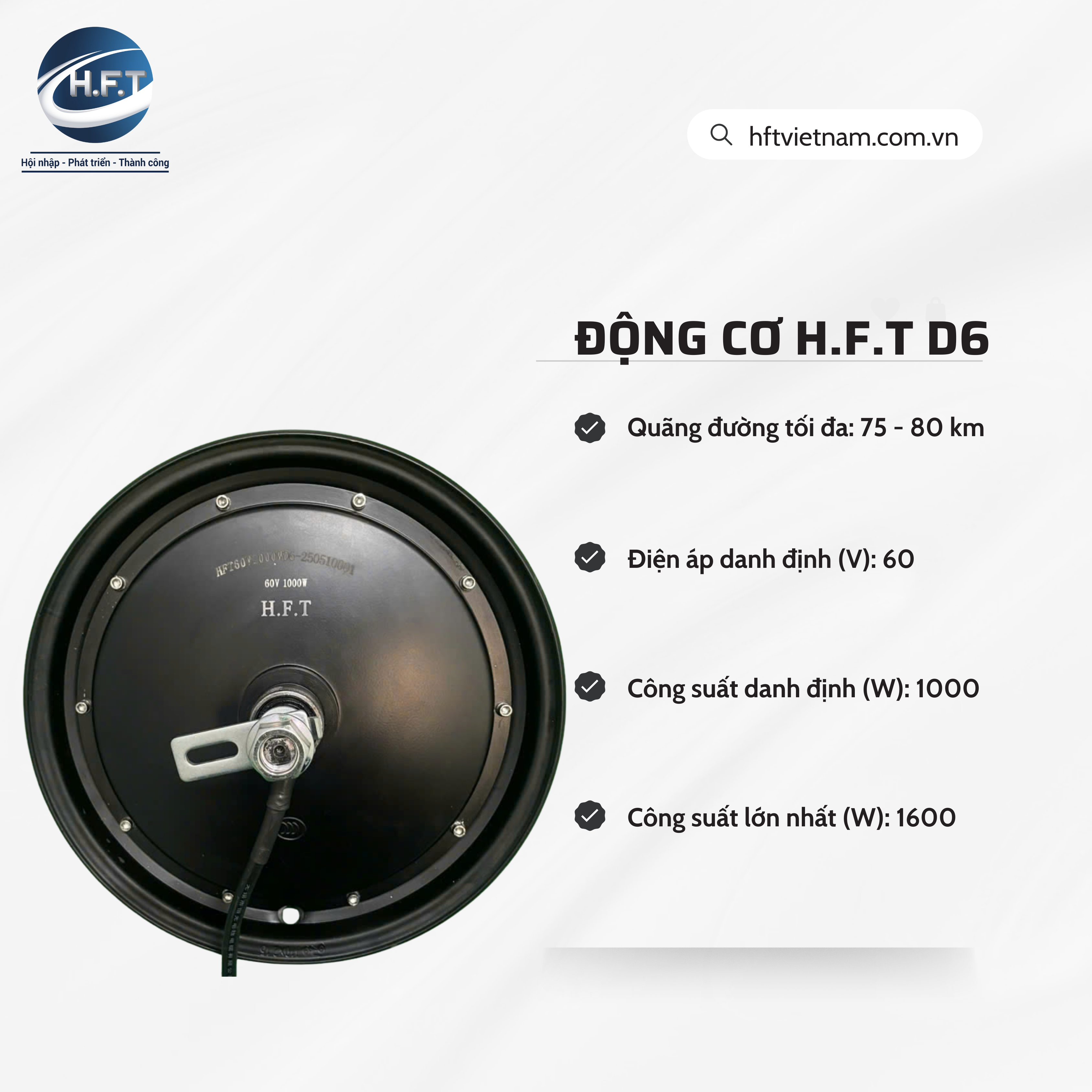 Động cơ H.F.T D6